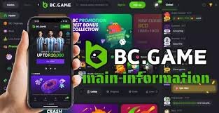 The Ultimate Guide to BC.Game Betting Platform 717625207