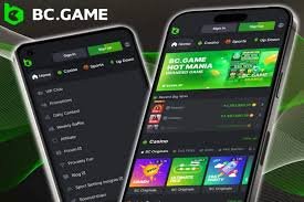 Ultimate Guide to Indonesia BC Game Bonus