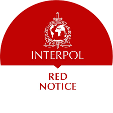 Understanding the Role of Interpol Defense Lawyers 1332521629