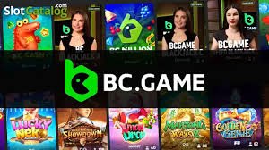 Unlocking Opportunities BC.Game DK Bonus Codes Explained